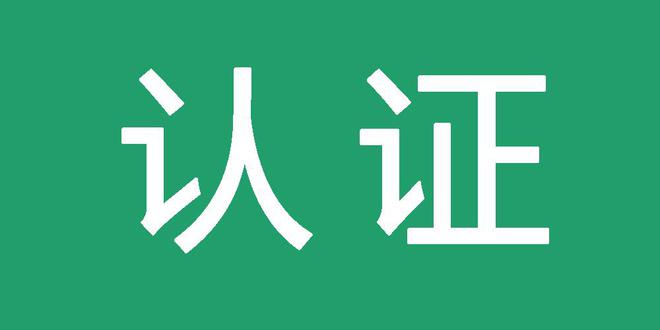 谷歌蜘蛛池出租